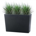 SHIO ALTA OIGNON GRASS 95