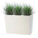 SHIO ALTA OIGNON GRASS 95