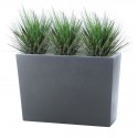 SHIO ALTA OIGNON GRASS 95