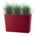 SHIO ALTA OIGNON GRASS 95
