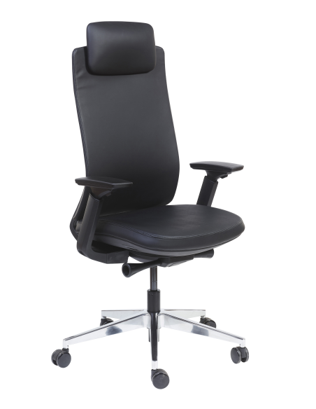Fauteuil direction Alexandre