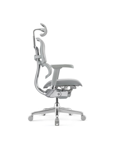 Fauteuil ergonomique EH2-G