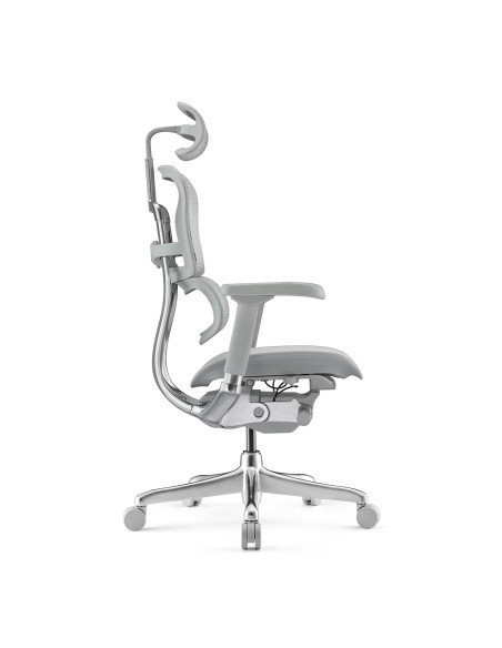 Fauteuil ergonomique EH2-G