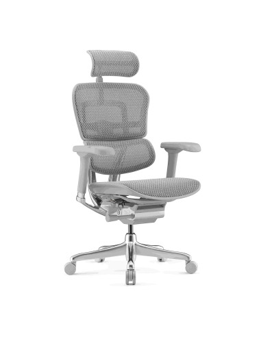 Fauteuil ergonomique EH2-G