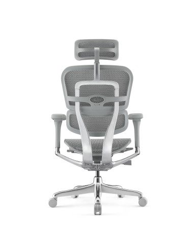 Fauteuil ergonomique EH2-G