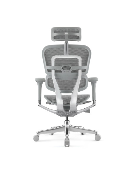 Fauteuil ergonomique EH2-G